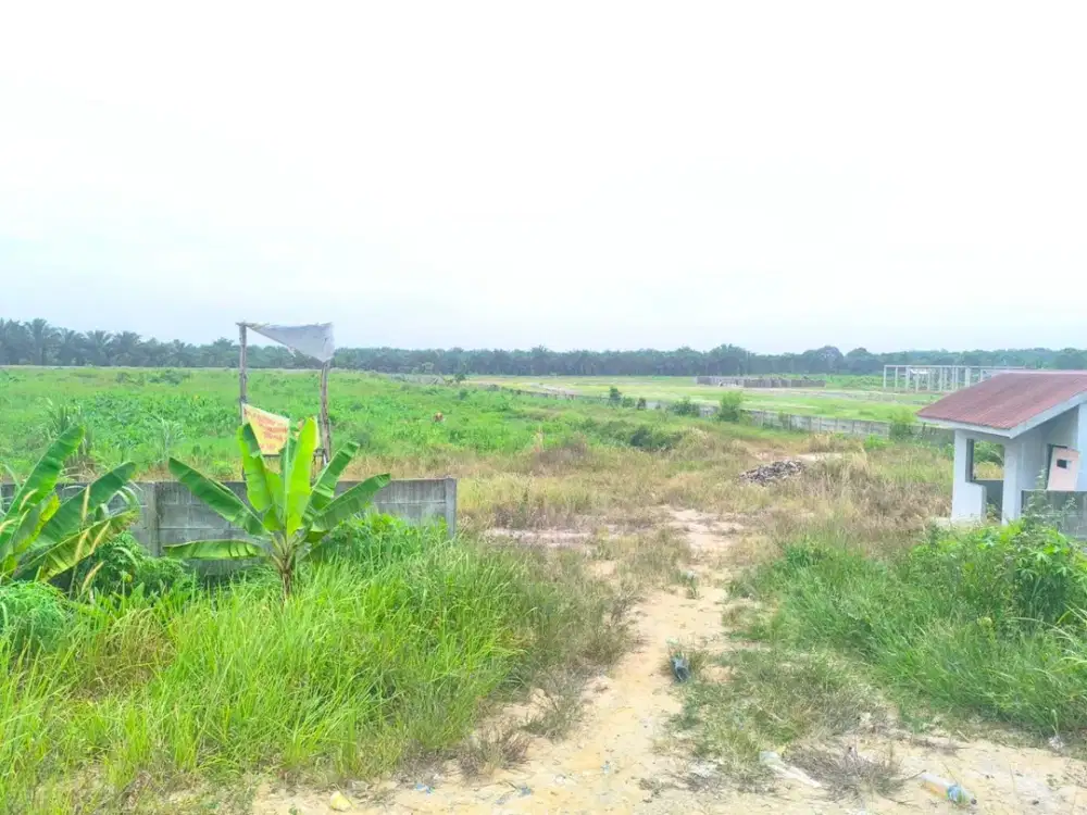 Dijual Tanah 18.599m2 di Pangkalan Kerinci, Pelalawan.