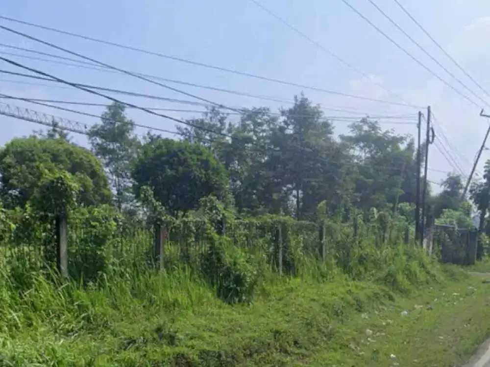 DiJual Cepat Tanah Di jalan Jonggol Cariu kab Bogor kec Jonggol. Tanah Komersial Zona Merah