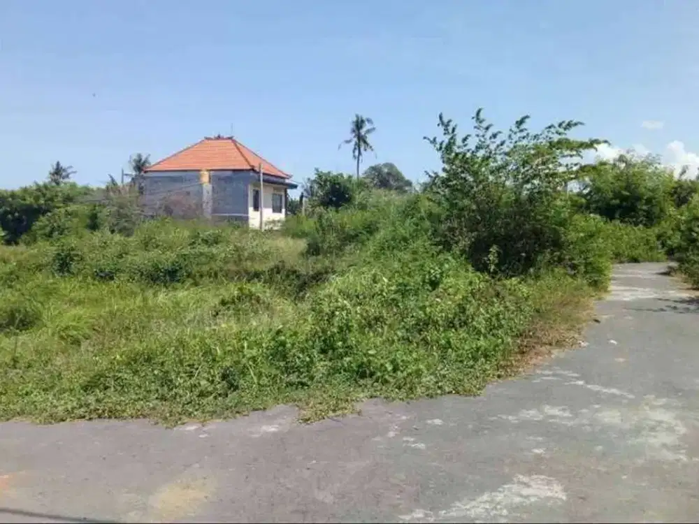 Di jual tanah kavling di Jl. Selukat, Gianyar Dekat ke Bypass Gianyar