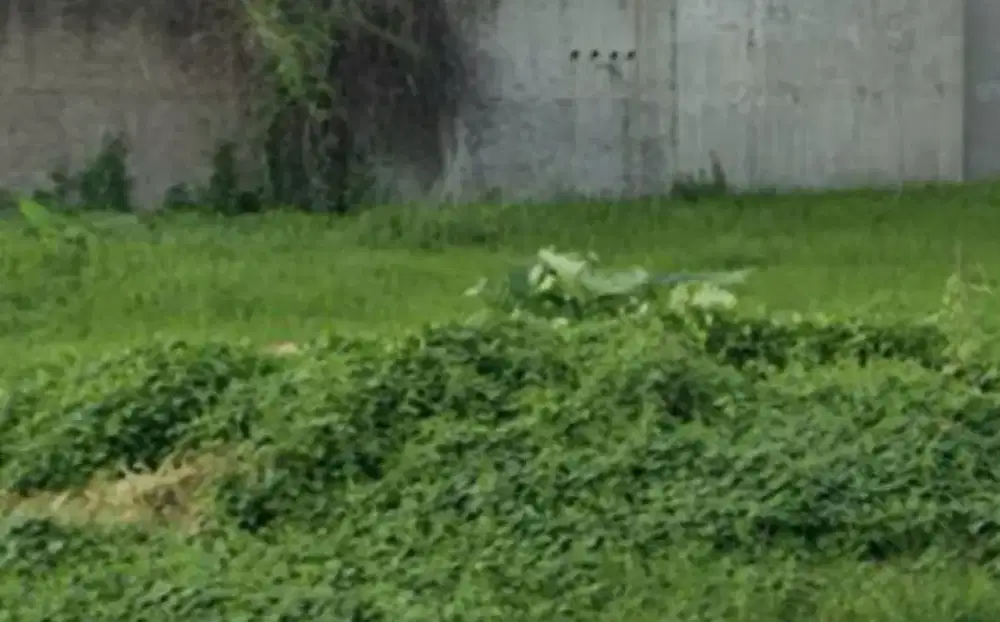 KAVLING 10 X 15 DI KOMPLEK BINTARA