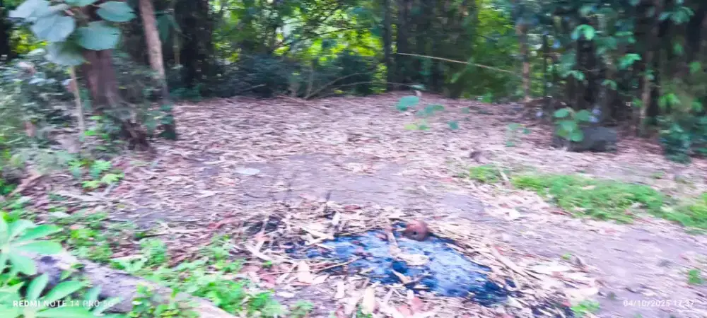 Dijual Tanah Jogja (Kecamatan Seyegan) luas strategis dekat jalan.