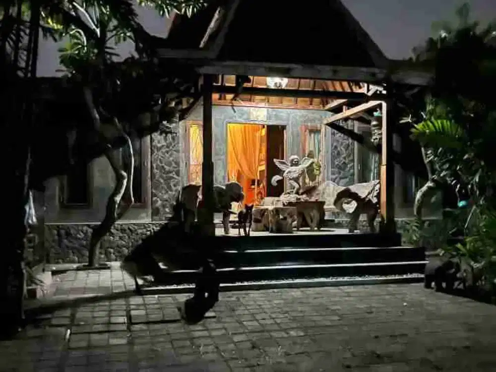 disewakan  rumah 5 th sampai 12 tahun di Kerobokan Badung Bali