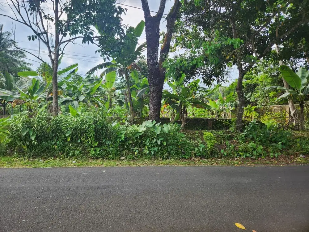 Dijual Cepat Tanah , lokasi strategis di pinggir jalan Raya,Harga nego