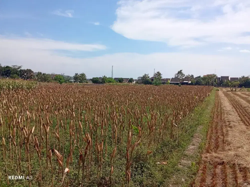 Tanah Tepi Jalan SGM Kemudo Klaten dekat dekat Service Center Polytron