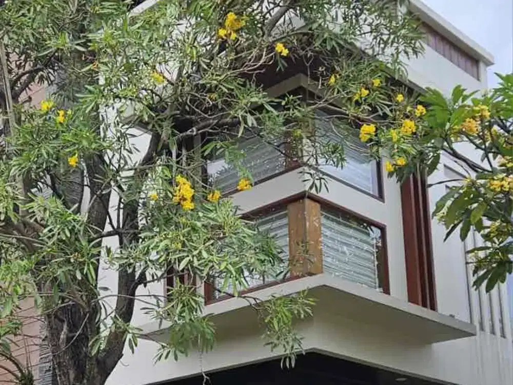 Rumah di Discovery Bintaro Sektor 9