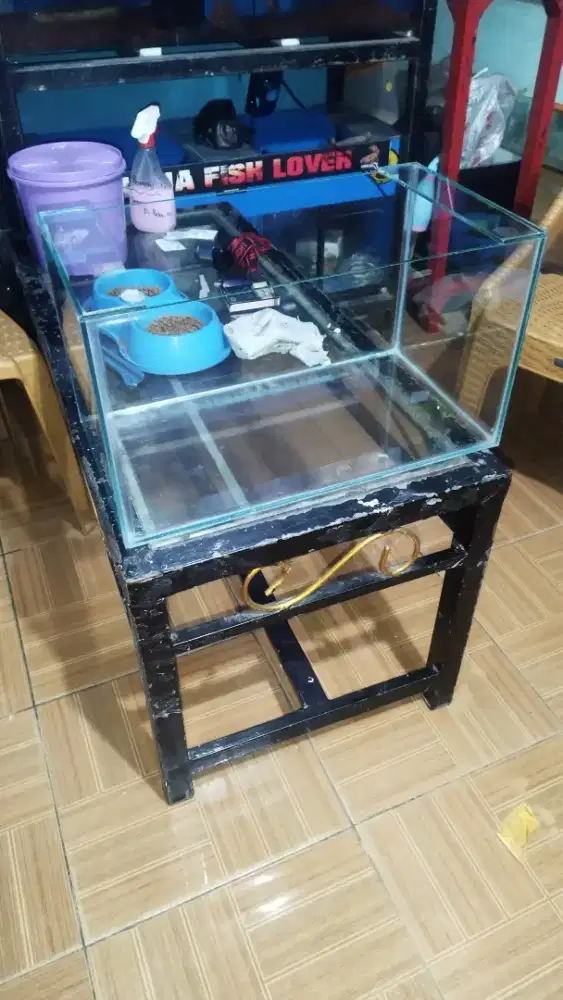Aquarium baru murah