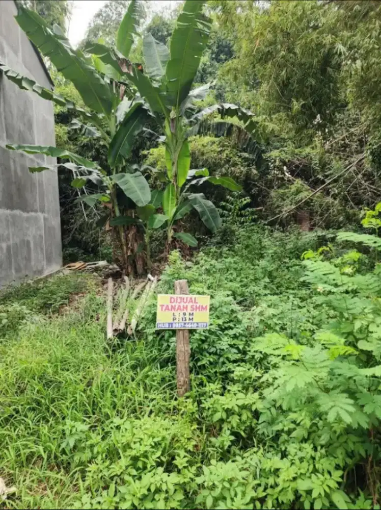 Tanah Murah Mojokerto Kedungmaling