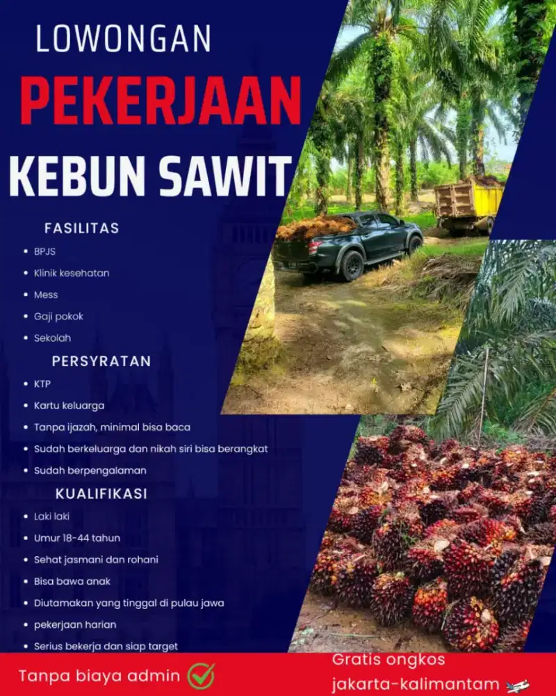 Loker perkebunan kelapa sawit