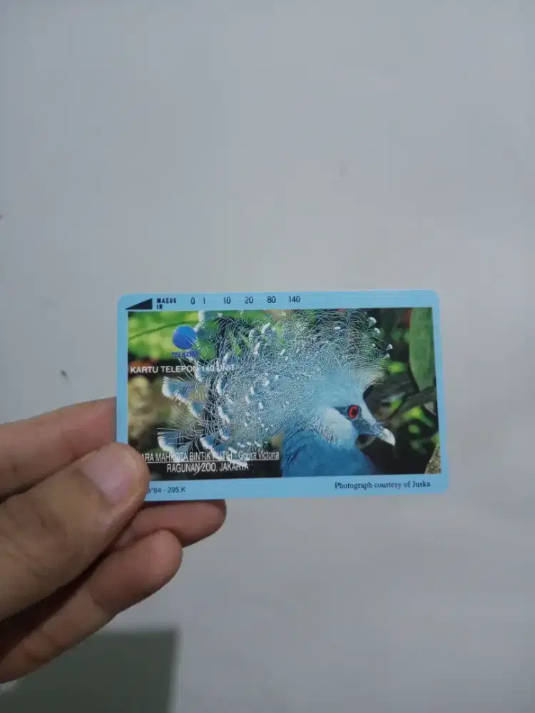 Kartu Telepon Edisi Hewan