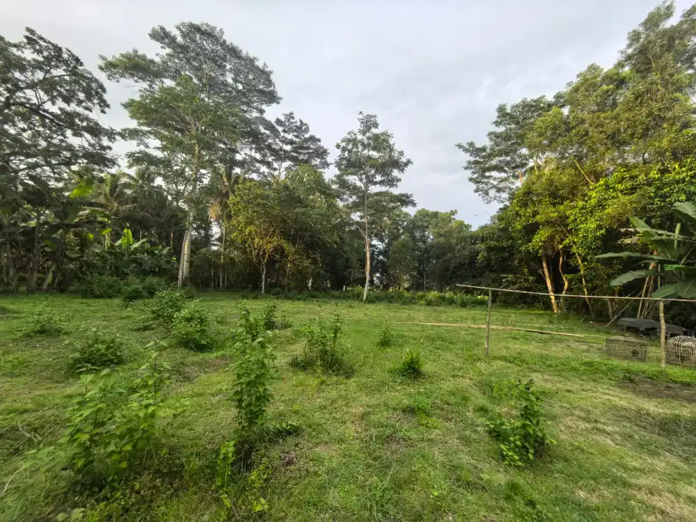 Tanah luas, untuk rumah-kebun dijual cepat