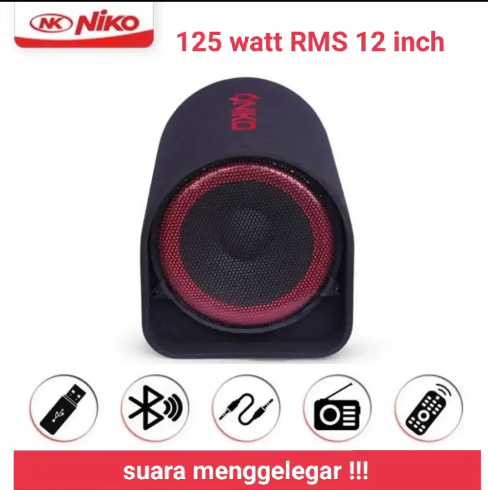 Sub Wofer KARAOKE Aktif 125 watt RMS. Joss !!!