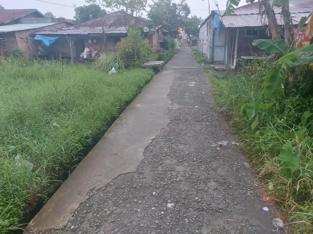 di jual cepat tanah di belakang perumahan citra land/suntex city,