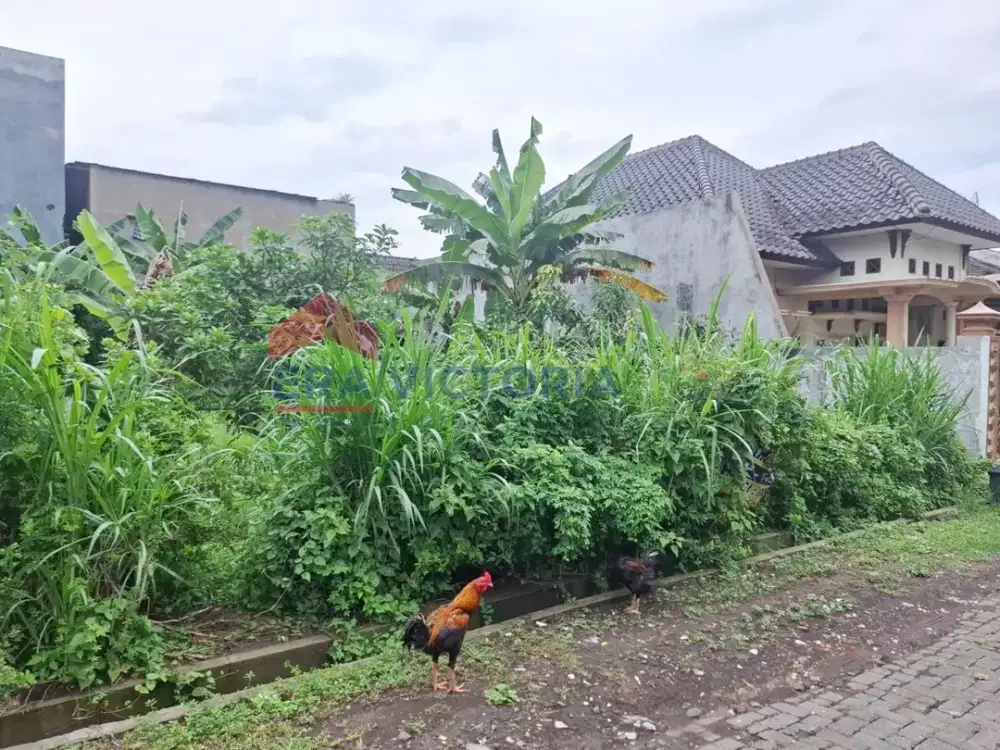 Tanah Kavling Murah Lokasi Premium Singosari, 5 Menit ke Jalan Raya & KEK