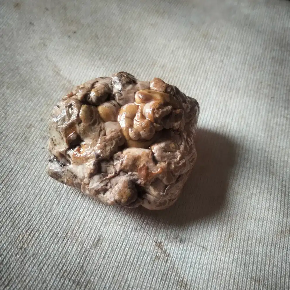 batu akik klanceng putih koleksi kuno antik langka