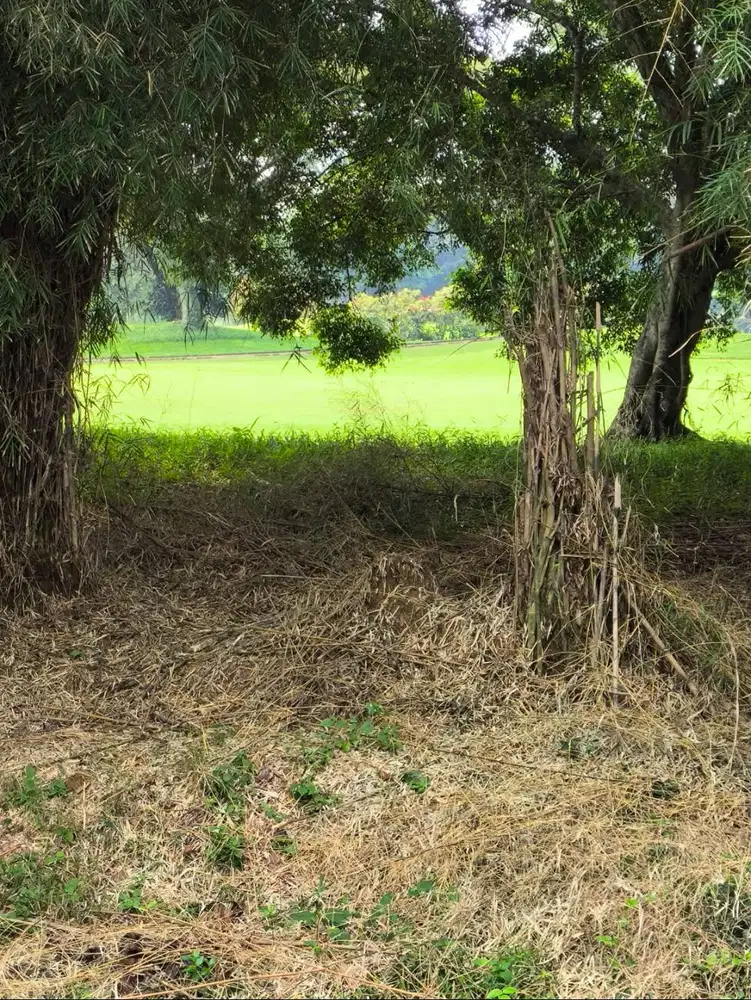 Tanah View Langsung Golf Sentul Bogor - IMB Ready