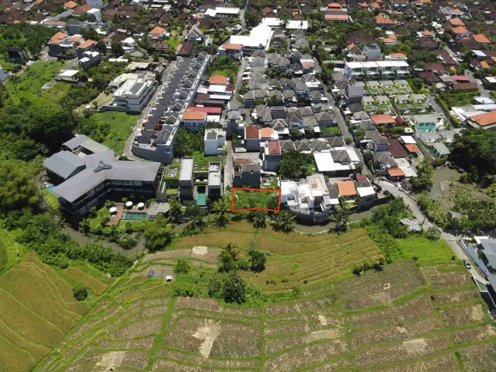 Tanah Plot Kecil View Sawah Di Buduk