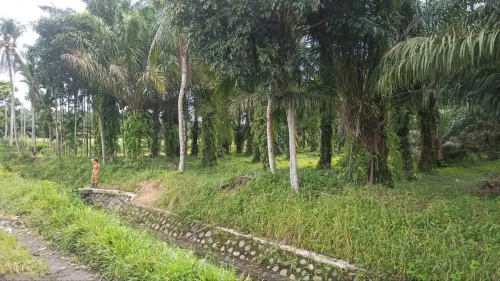 TANAH INVESTASI STRATEGIS