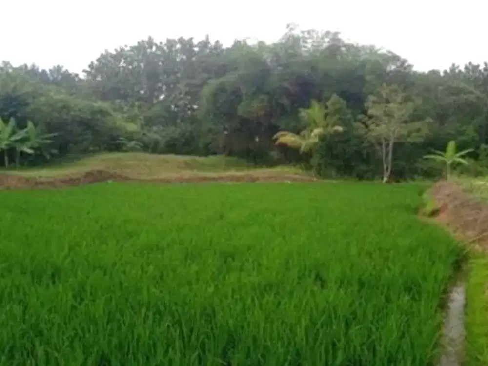 Tanah komersial luas 6026m Desa Kertamukti Purwakarta