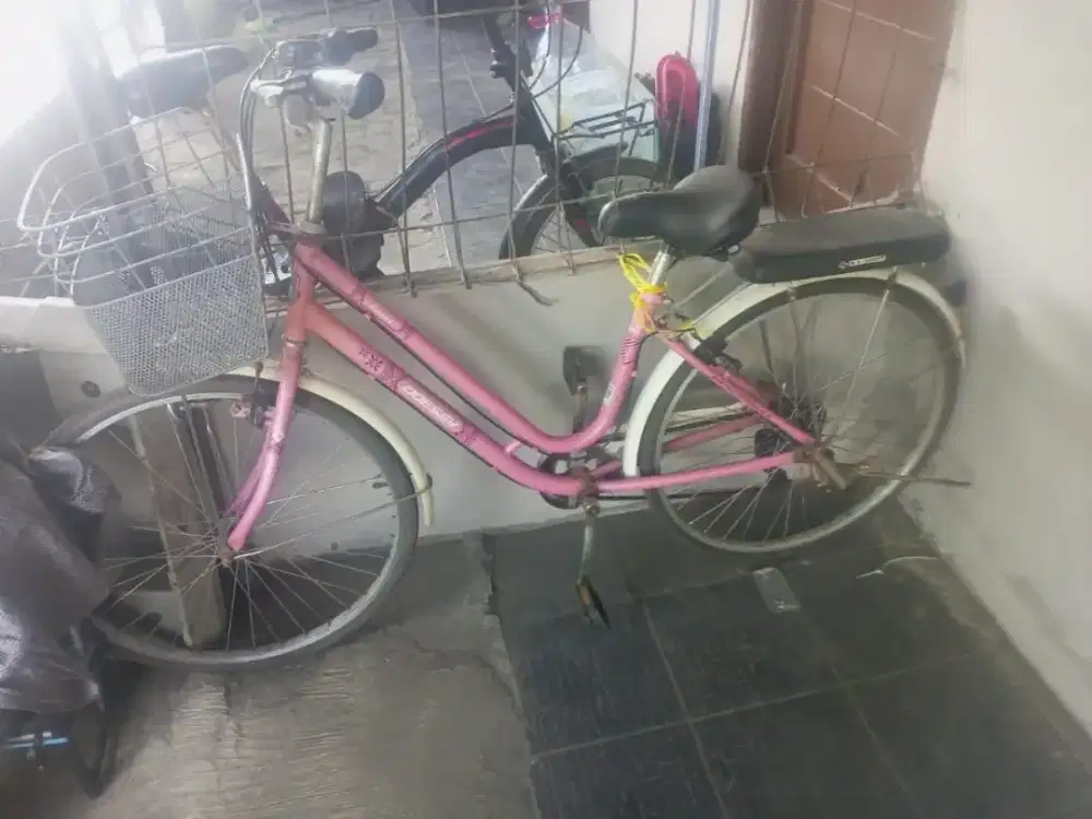 Sepeda mini keranjang dewasa