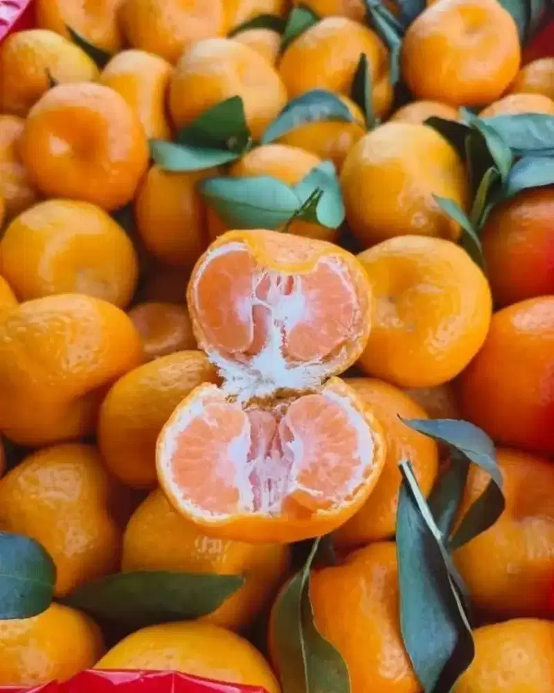 Jeruk santang daun manis