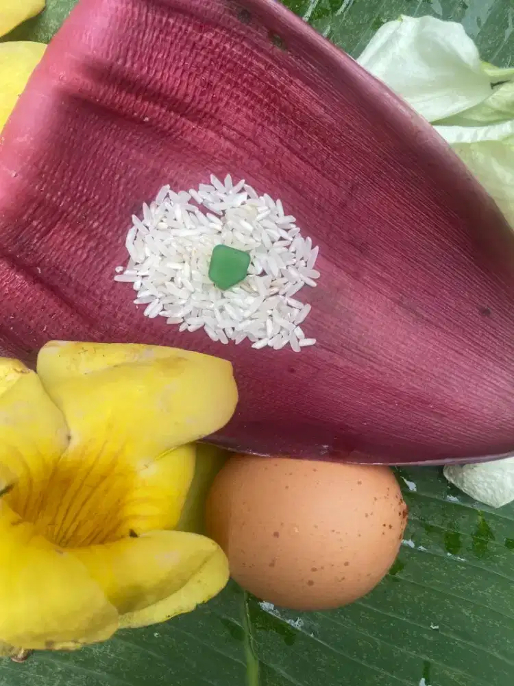 Batu mustika hijau dari buah alpukat