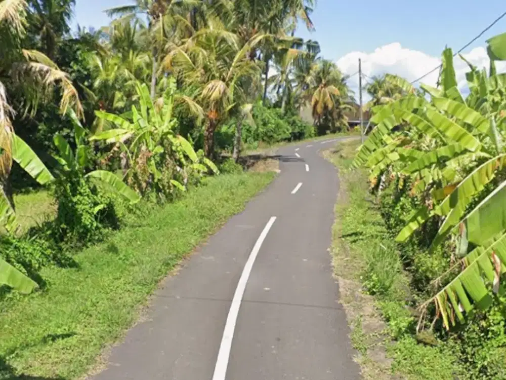 Tanah Murah Los Sungai Beraban Selemadeg Timur Tabanan