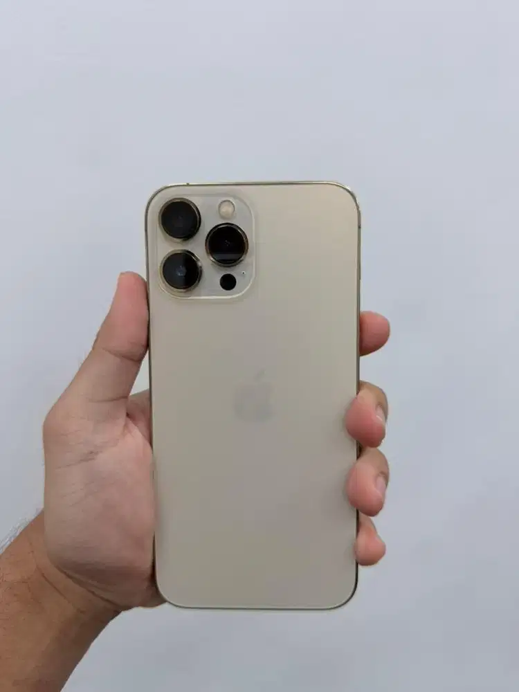 iphone 13 pro max 512gb