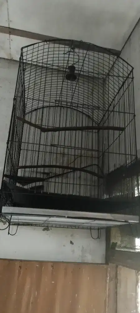 Jual kandang besi besar murah