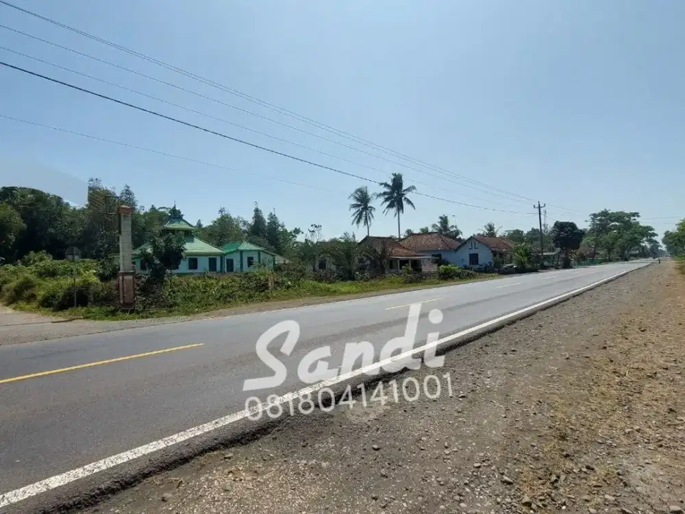 Tanah Strategis Murah di Purworejo Tepi Jl. Daendels Barat Bandara YIA