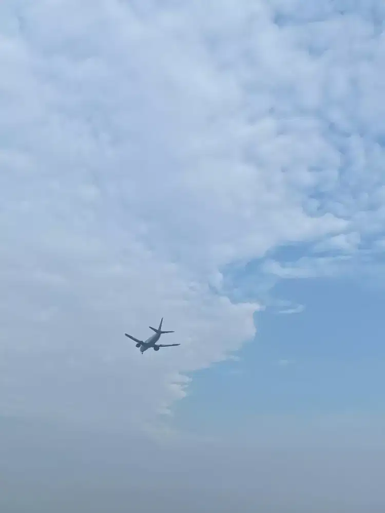 home cleaning service