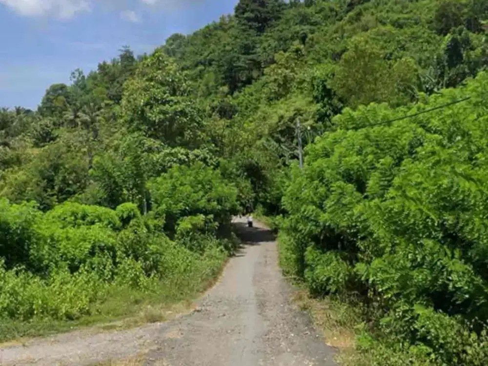 tanah murah di Kuta Mandalika Lombok. cocok untuk villa