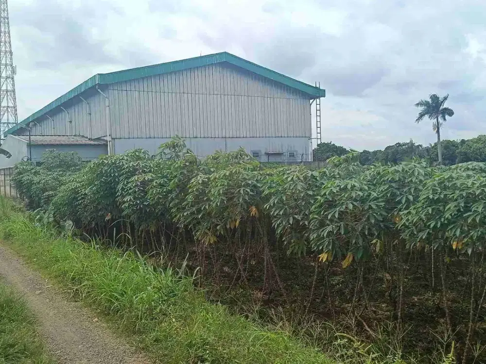 jual tanah di gunung Sindur