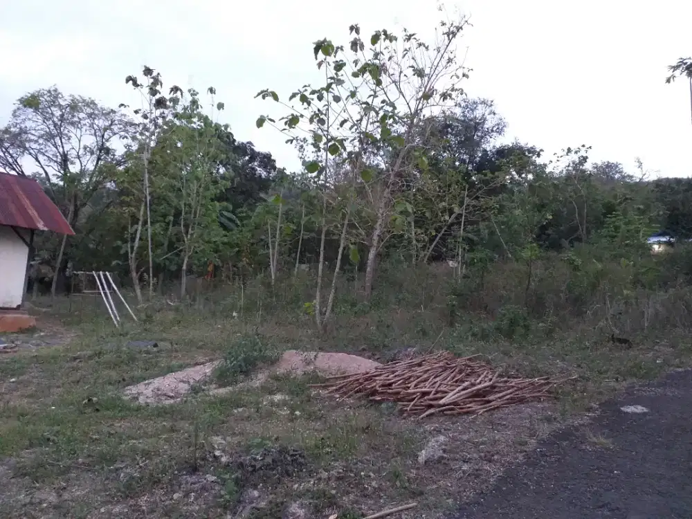 Jual Tanah Murah (Segera)