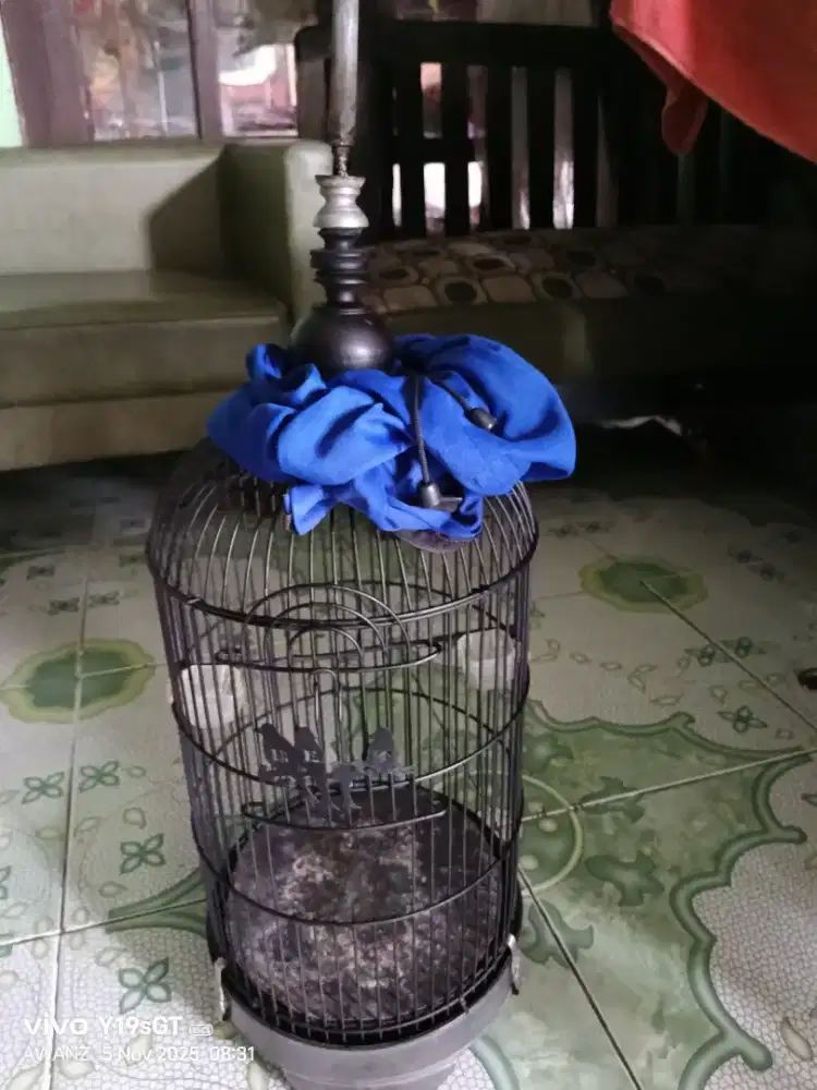 Kandang holopet burcil bekas