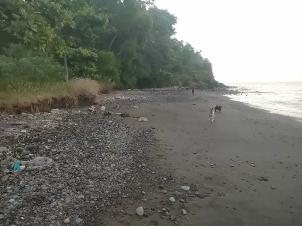 Tanah Los Pantai di Pantai Amed Samping Hotel Sunset Point
