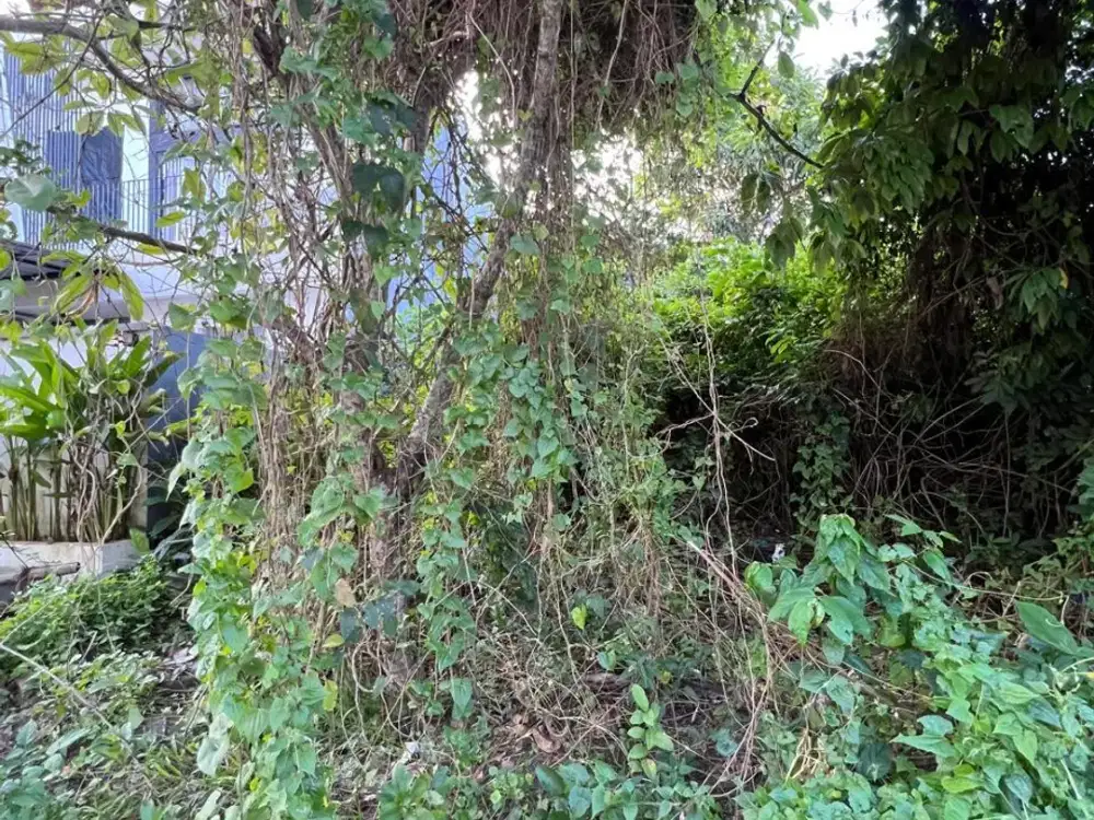 Tanah Lokasi Strategis di Dalam Komplek Nusa Dua Bali