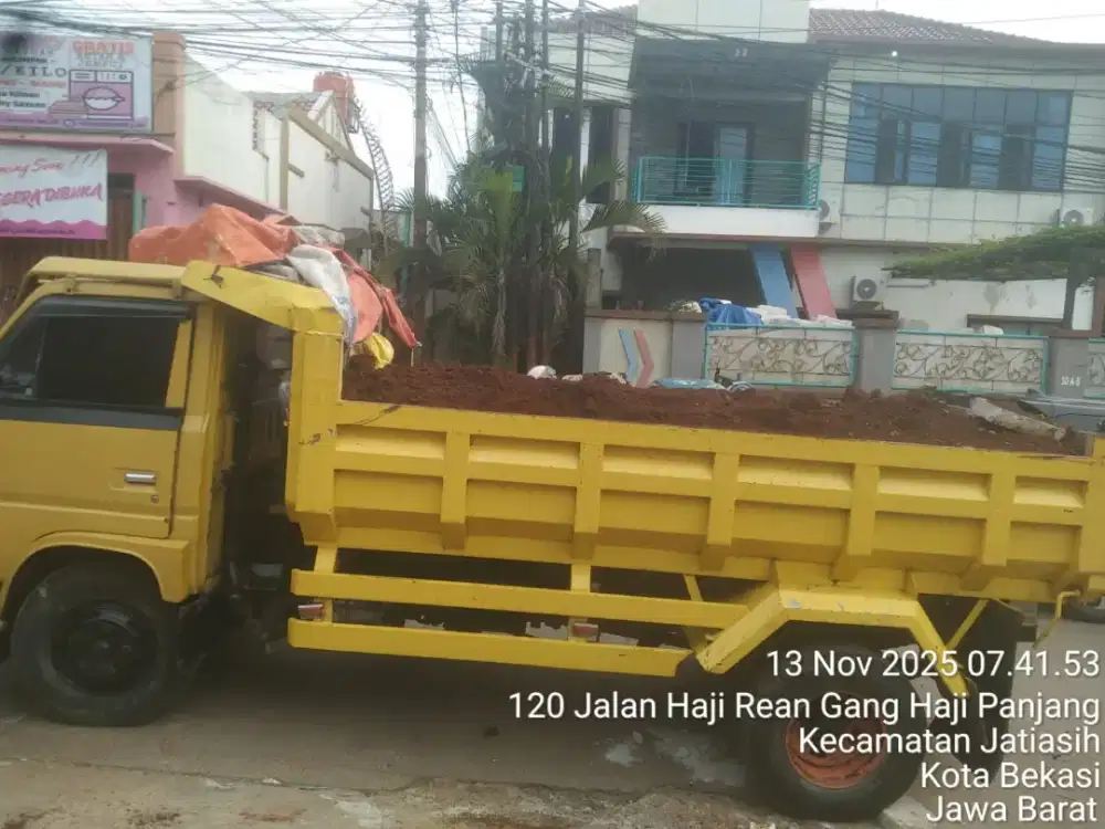 JASA BUANG PUING DAN PENGURUGAN