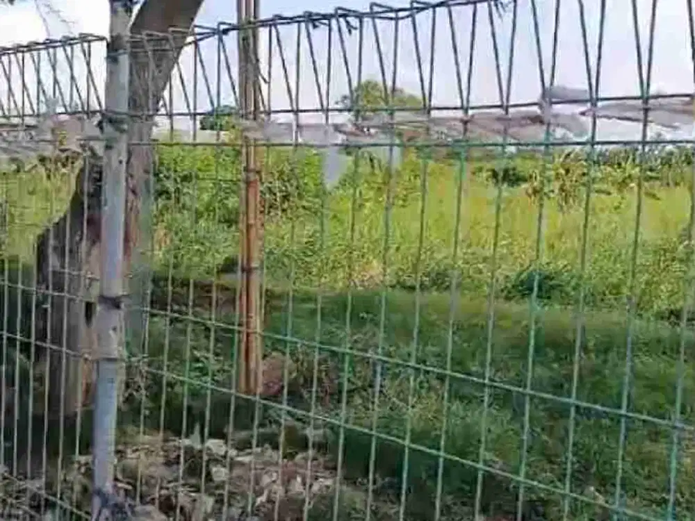 Tanah Dekat Bandara Soeta, Akses kontainer