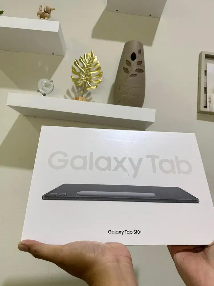 Dijual Samsung Galaxy Tab S10+ Wifi Only 12/256GB