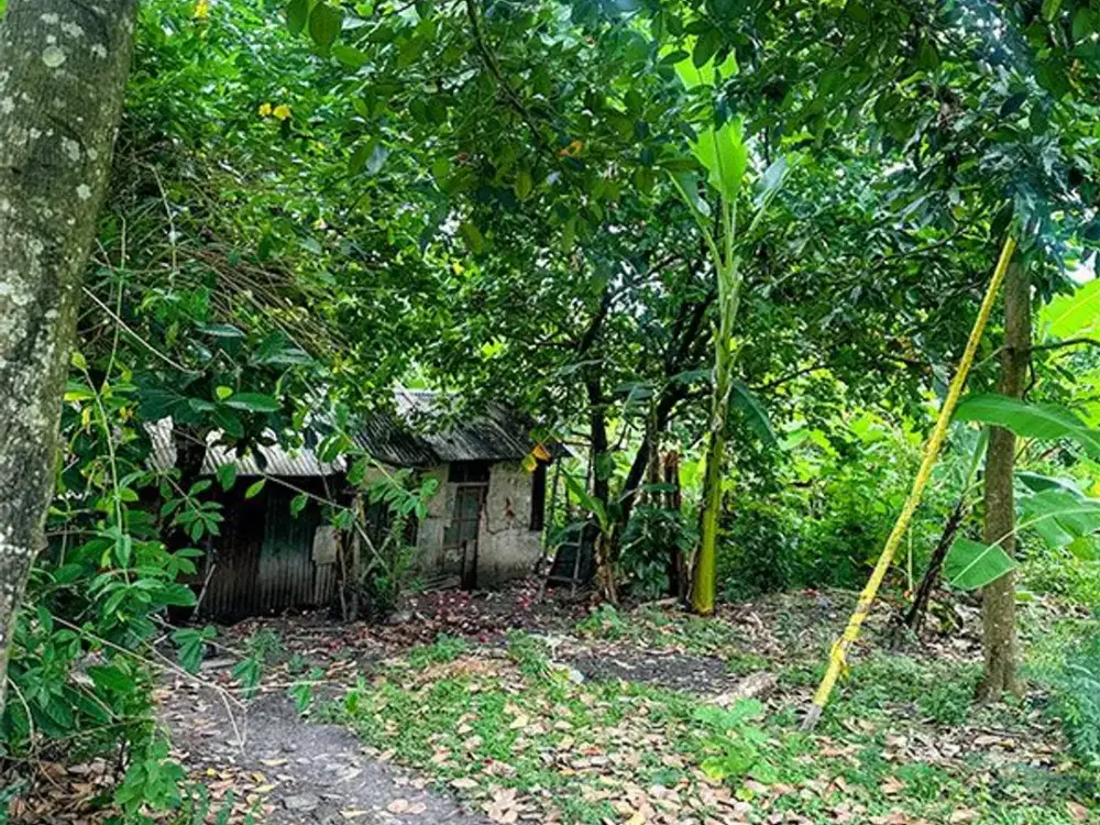 AMS-054.GKA | Dijual Tanah untuk Perumahan 5 are di Jalan Bajataki Padangsambian Kaja Denpasar