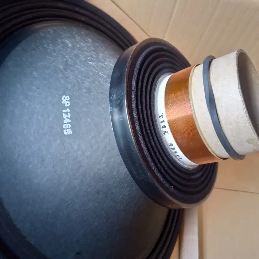 RECONKIT CELESTION 18 INC COIL 4