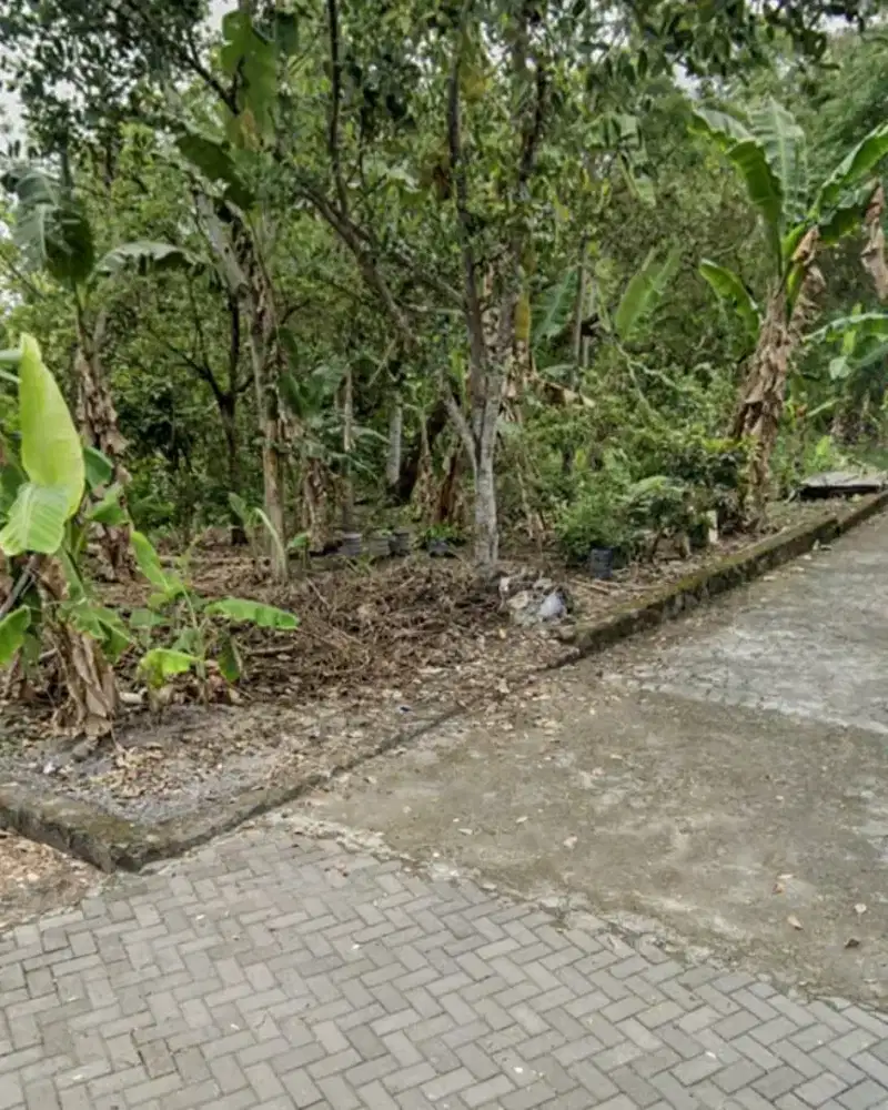 Disewakan tanah bagus di Bakungan Wedomartani Ngemplak Sleman