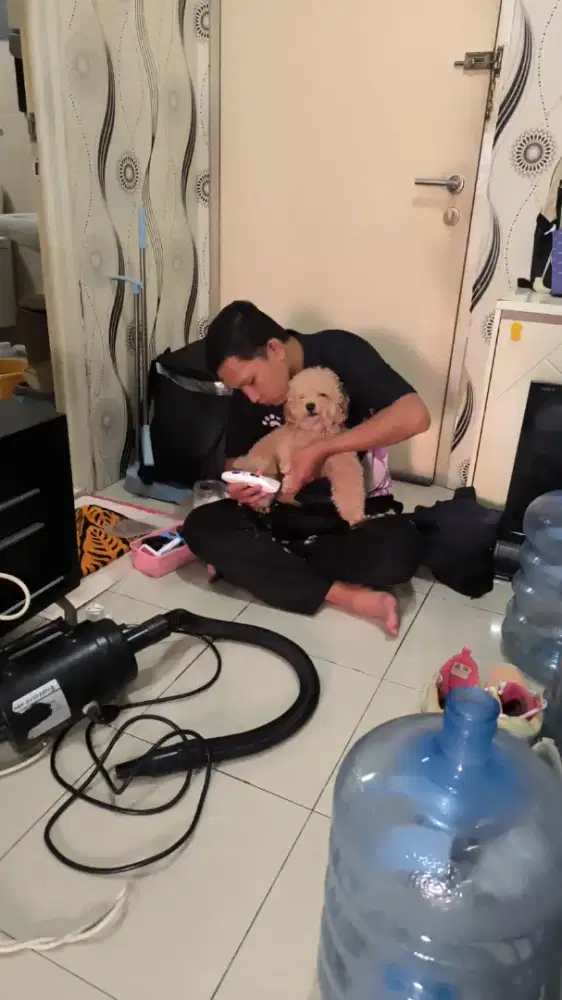 Grooming Tiny pet panggilan kerumah