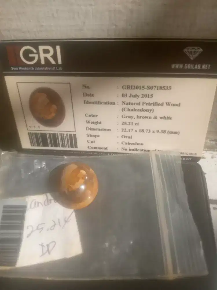 Natural petrified wood