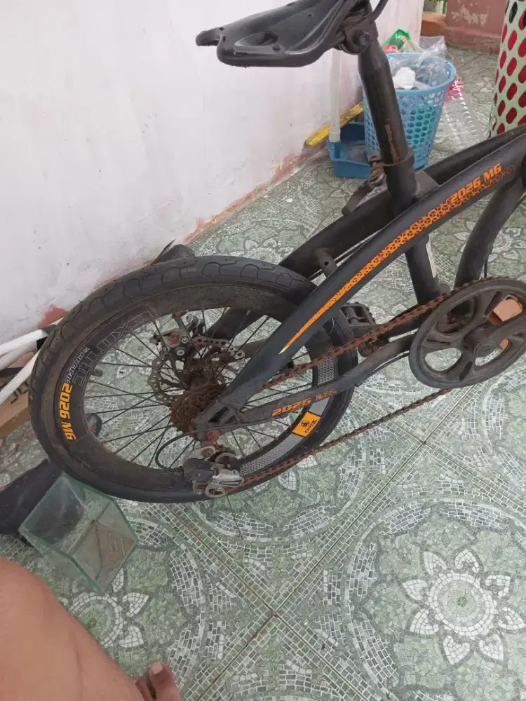 Sepeda exotic mg 2026