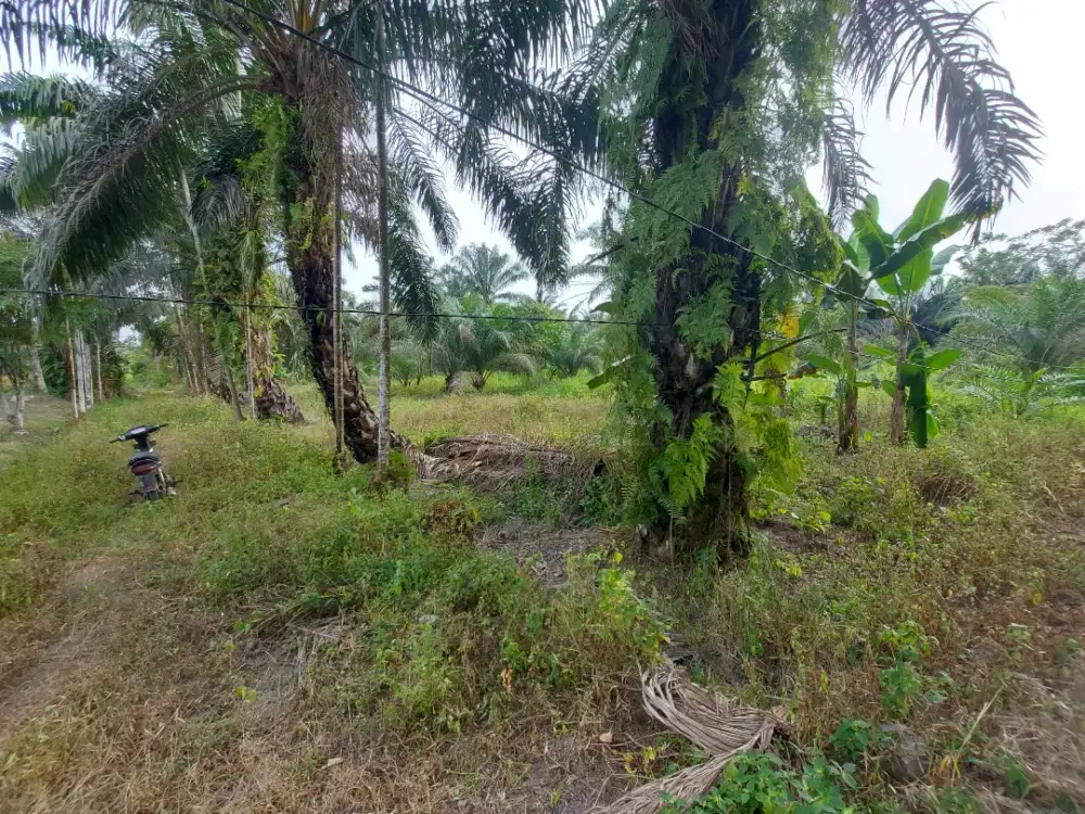 Dijual tanah seluas 2.700 m² lokasi tenayan raya pekanbaru