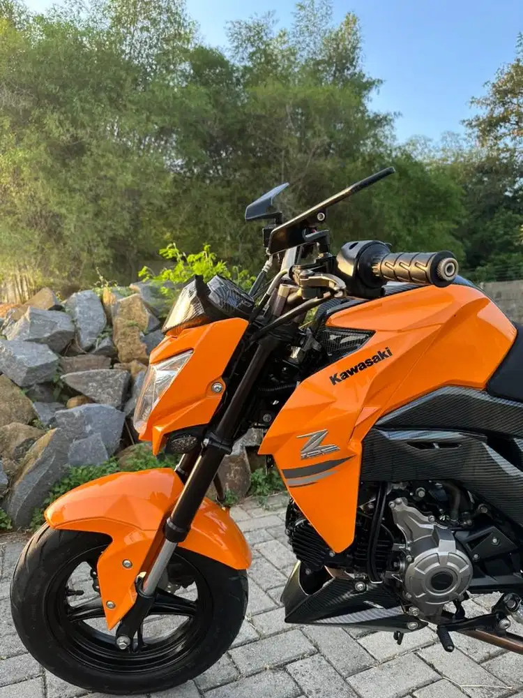 Kawasaki z 125 pro 2019