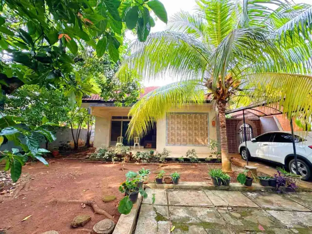 Rumah Strategis di tengah kota Jakarta