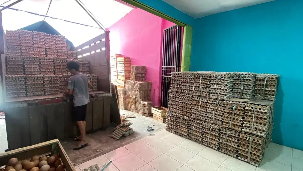 LOWONGAN KERJA AGEN TELUR