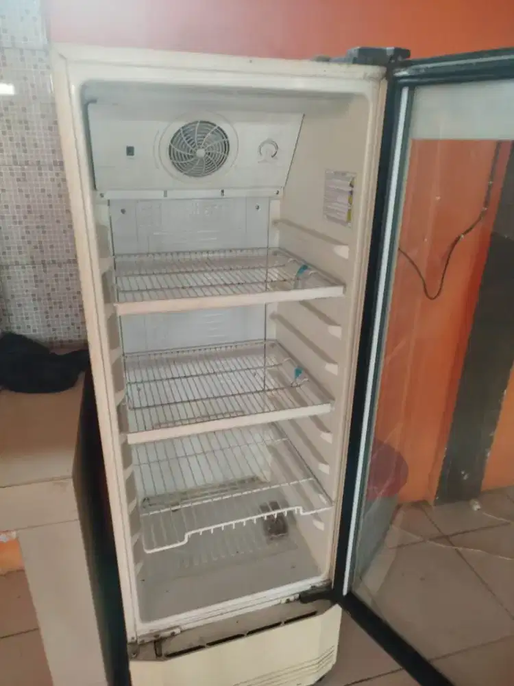 Showcase Polytron SCN 181L